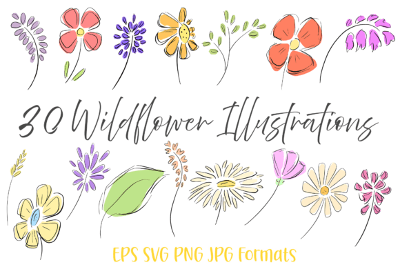 30 Wildflowers Flower Hand Drawn Clipart: A Spring Floral Collection